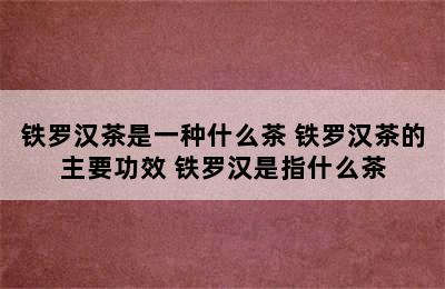 铁罗汉茶是一种什么茶 铁罗汉茶的主要功效 铁罗汉是指什么茶